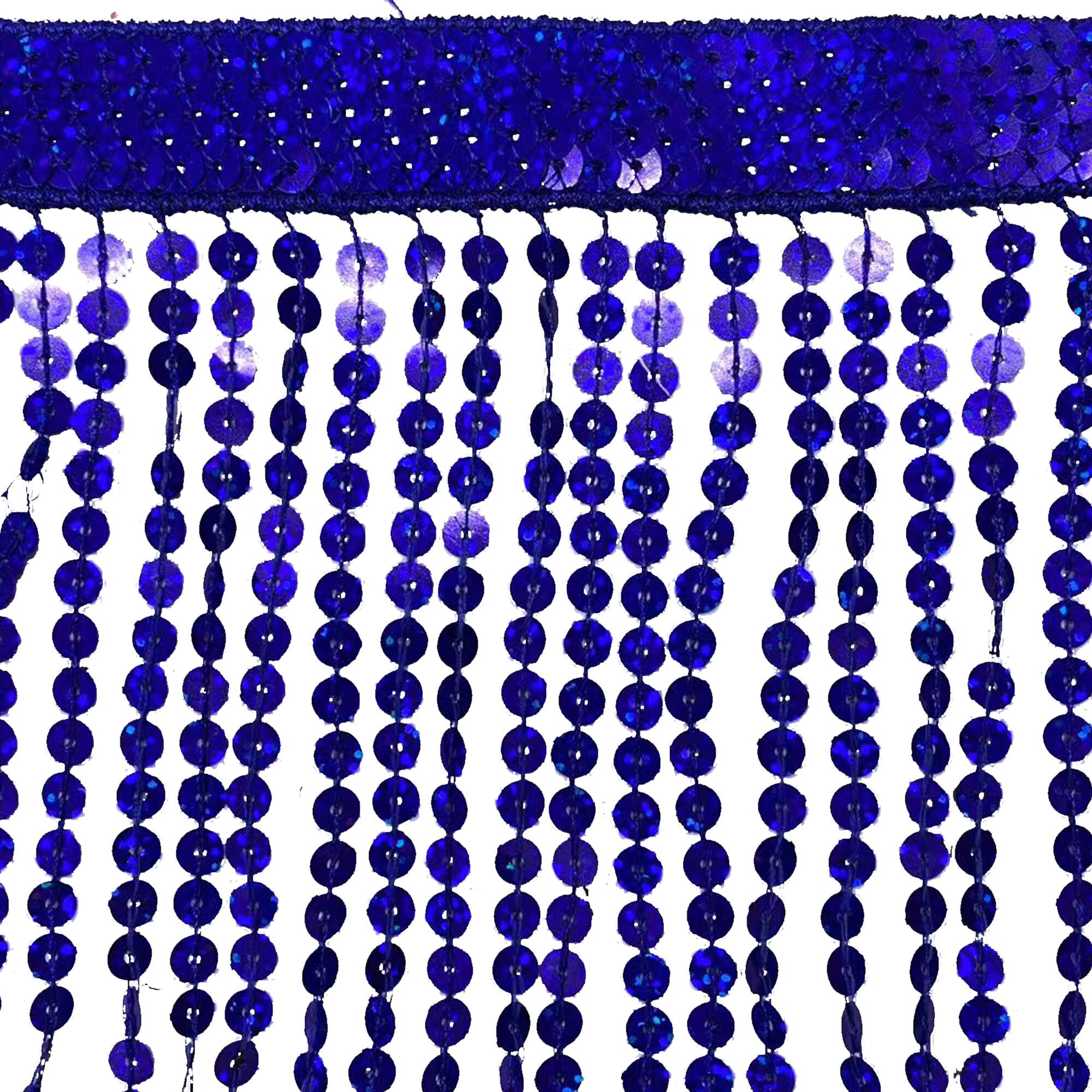 6" Sequin Fringe Trim by Celebrate It